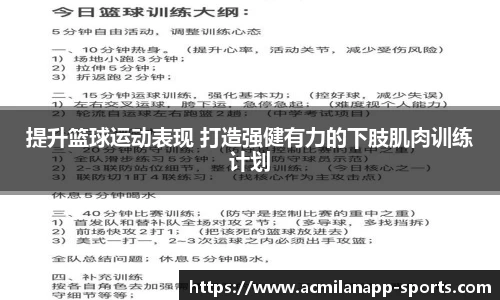 提升篮球运动表现 打造强健有力的下肢肌肉训练计划